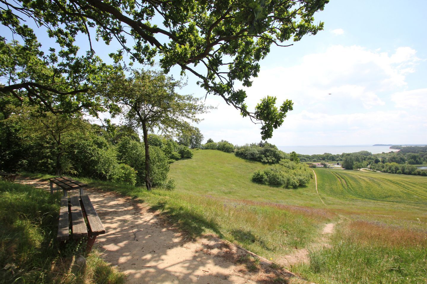 A bench overlooking a grassy field with trees and a distant view of the sea.