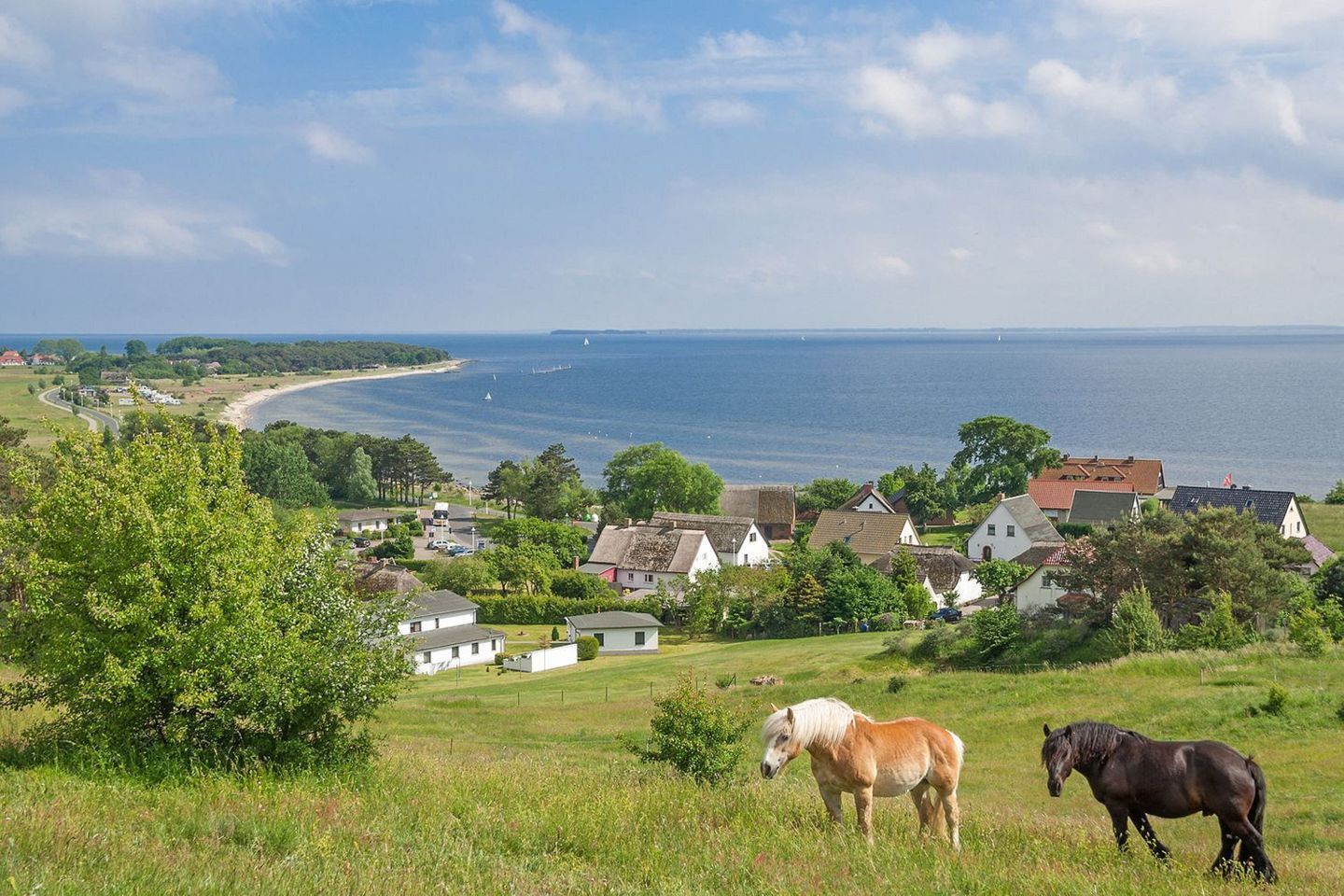 A coastal village with houses, a beach, and horses.