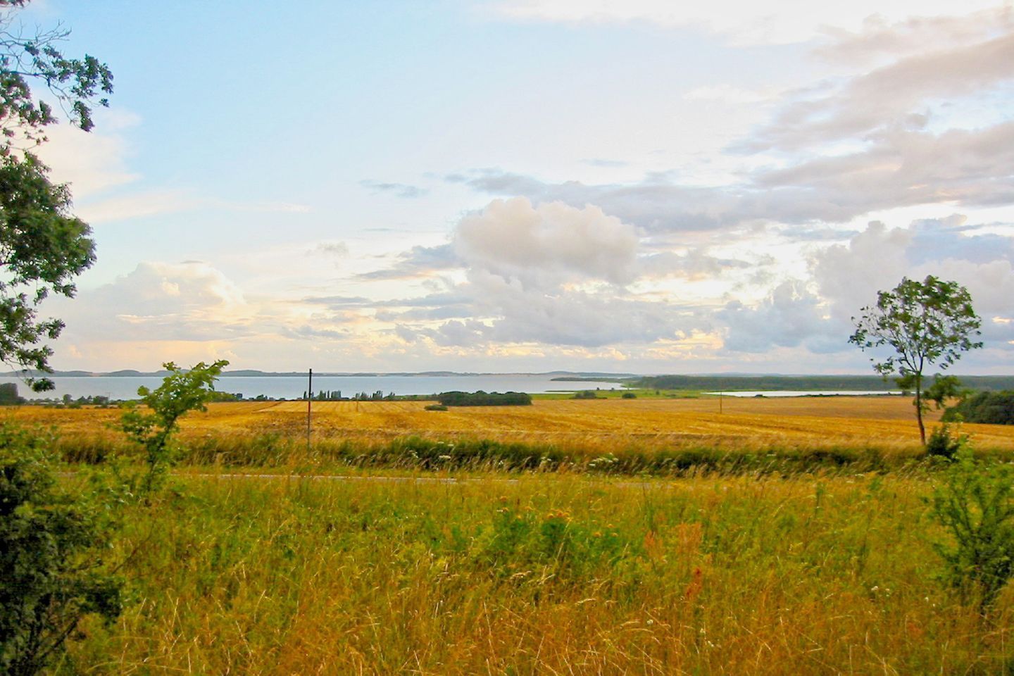 A rural landscape with fields, trees, and a distant body of water under a cloudy sky.