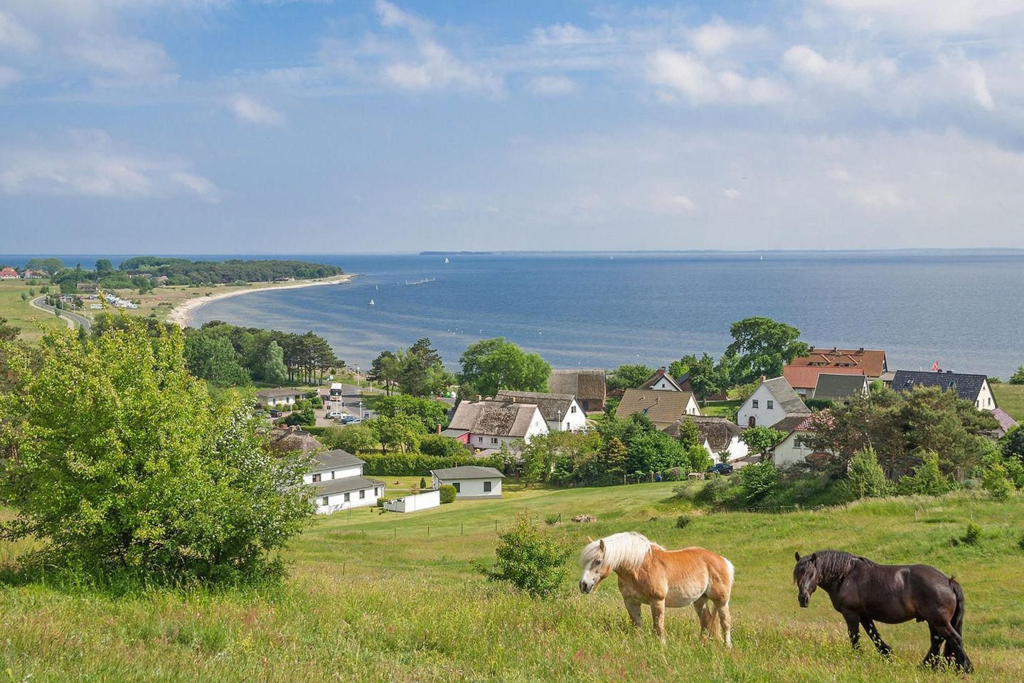 A coastal village with houses, a beach, and horses.