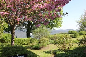 A garden with a large tree in full bloom, a sign that reads "reserve," and a view of a body of water in the background.