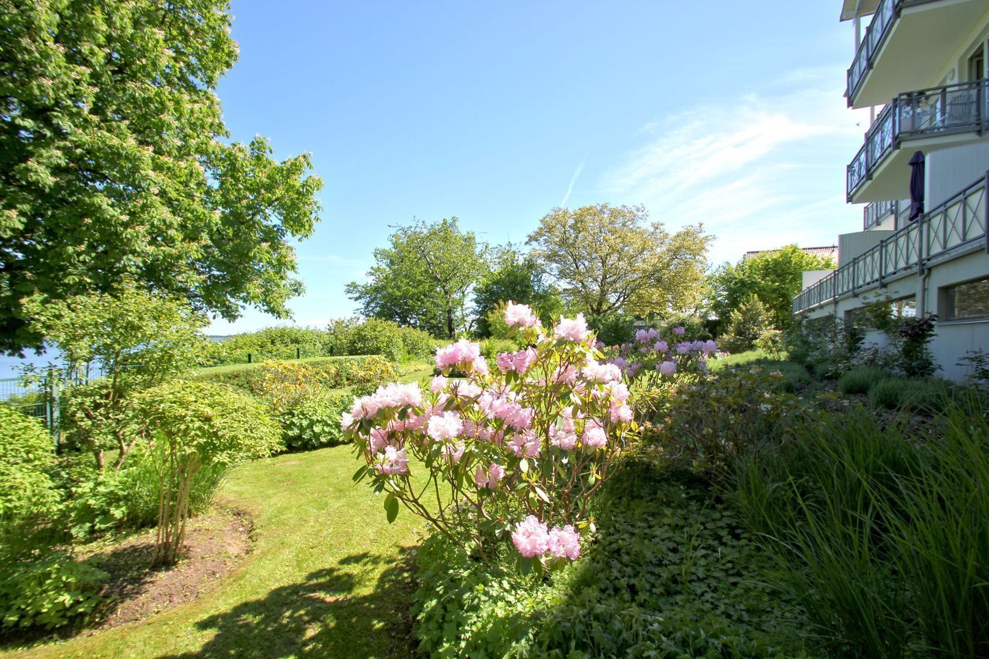 Ein Garten mit blühenden rosa Blumen und einem Gebäude mit Balkonen.