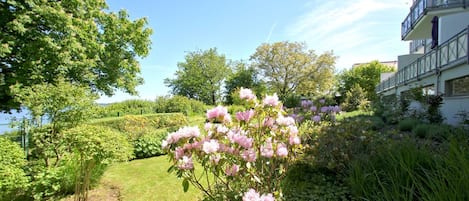 A garden with blooming pink flowers and a building with balconies.