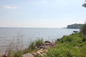 Unclassified image, 4 of 19, button