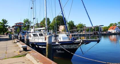 Vacation apartment Liesi - quiet location, beautiful landscape, close to the Baltic Sea -