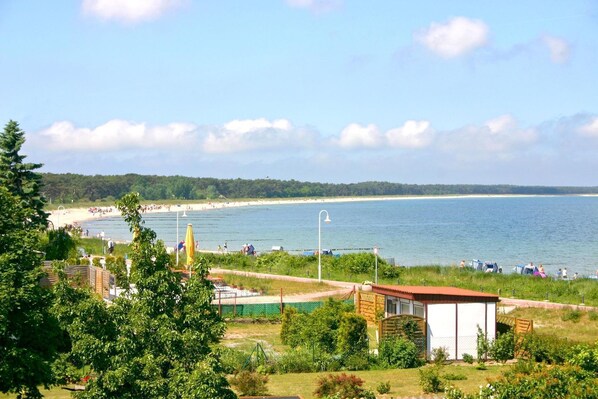 Unclassified image, 1 of 19, button