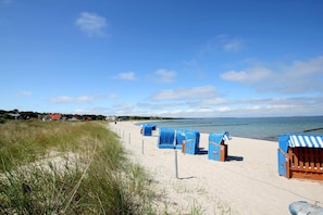 A beach with rows of blue beach chairs and umbrellas, a sandy path, and a clear view of the sea. - Right behind the dune, with a balcony and a view of the sea - Strandvilla Böck FeWo 15 - (Glowe)