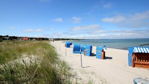 A beach with rows of blue beach chairs and umbrellas, a sandy path, and a clear view of the sea. - Directly behind the dune, with balcony and sea view - Strandvilla Böck FeWo 15 - (Glowe)