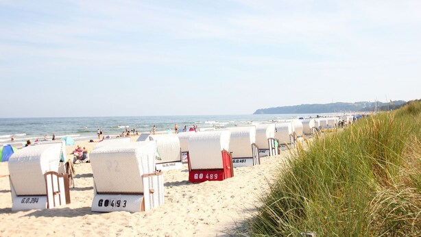 A beach with rows of white beach chairs and umbrellas, some with visible numbers. - Near the beach, vacation apartment with sauna and swimming pool - Strandr.BaabeFeWo1.29 (Baabe)