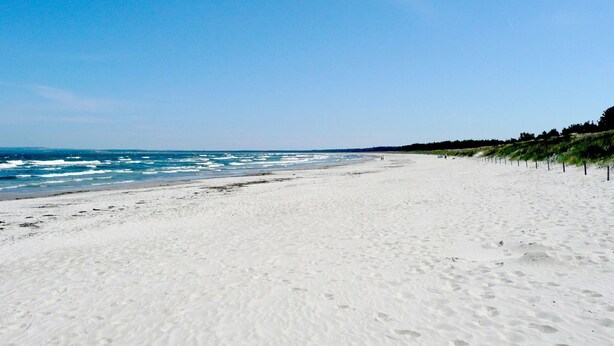 A wide sandy beach with gentle waves, a clear sky, and a line of vegetation along the right side.