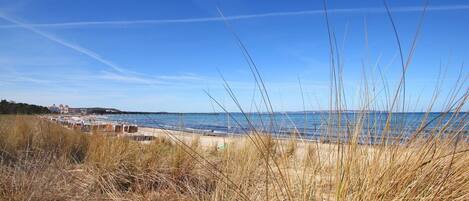 Ranta