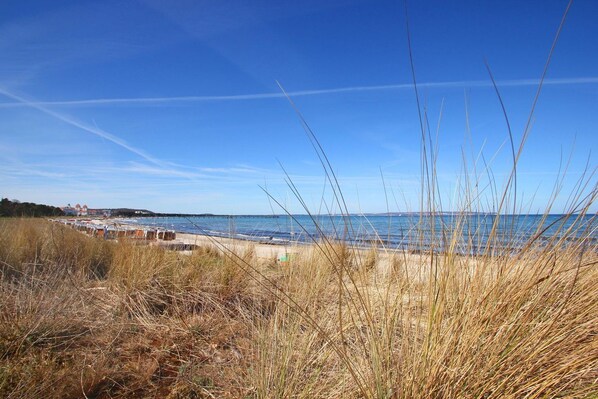 A coastal landscape with dry grass in the foreground, a clear blue sky, and a distant view of a beach and buildings.