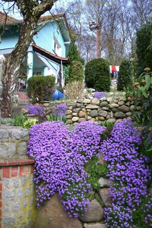 A house with a stone wall and purple flowers in front.