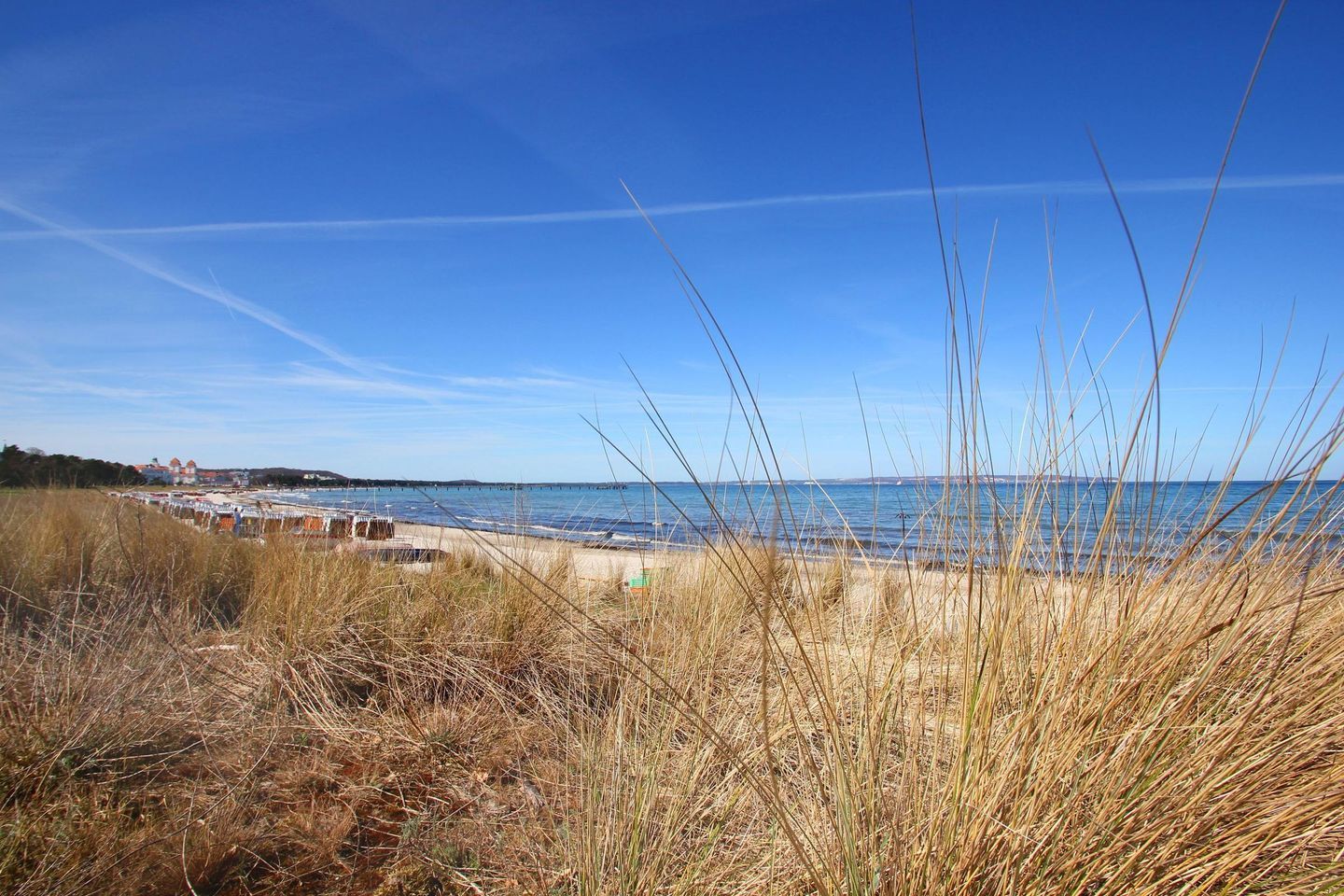 Un paysage côtier avec de l’herbe sèche au premier plan, un ciel bleu dégagé et une vue lointaine d’une plage et de bâtiments.