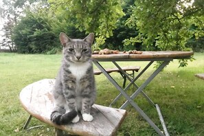 Opções para refeição ao ar livre