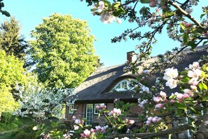 Une maison traditionnelle à toit de chaume, entourée d’une végétation luxuriante et d’arbres en fleurs.