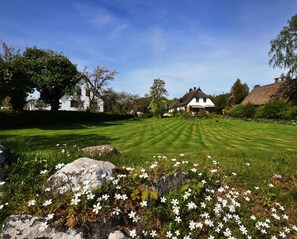 Jardines del alojamiento