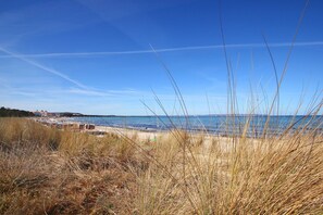 A coastal landscape with a beach, grassy dunes, and a clear blue sky.
