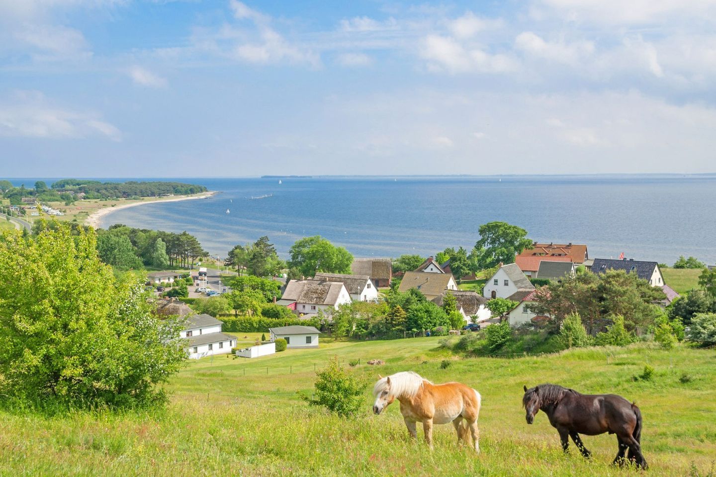 A coastal village with houses and a beach.