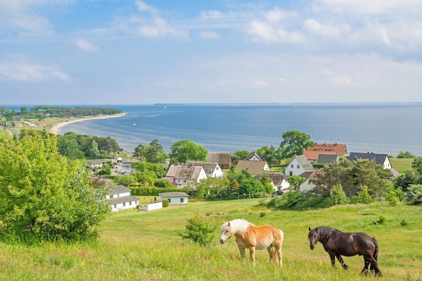 A coastal village with houses and a beach.