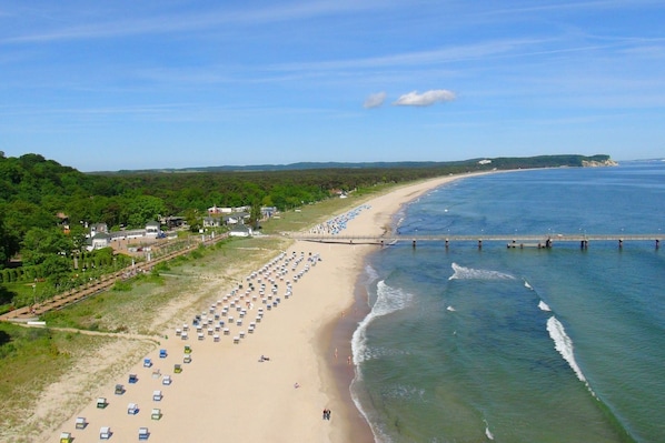 A beach with rows of beach umbrellas and sun loungers, a pier extending into the water, and a forested area in the background.