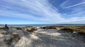 Beach - Quiet location, vacation apartment with terrace and garden - Ferienhaus Solamar FeWo EG (Breege)