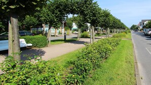 Une rue bordée d’arbres, avec un trottoir, des voitures garées et des bâtiments en arrière-plan.