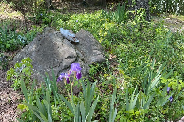 Área da propriedade