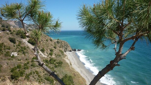 A coastal landscape with a beach, trees, and a clear view of the sea. - Villa 'Casa Livernana' with Sea View, Wi-Fi and Air Conditioning (Cómpeta)