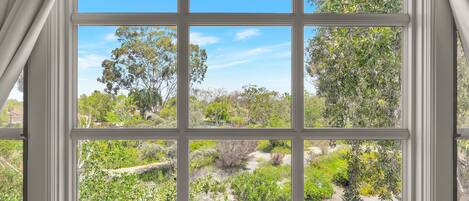 Uma janela com vista para um jardim com diversas plantas e árvores.