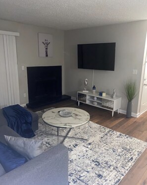 TV, fireplace