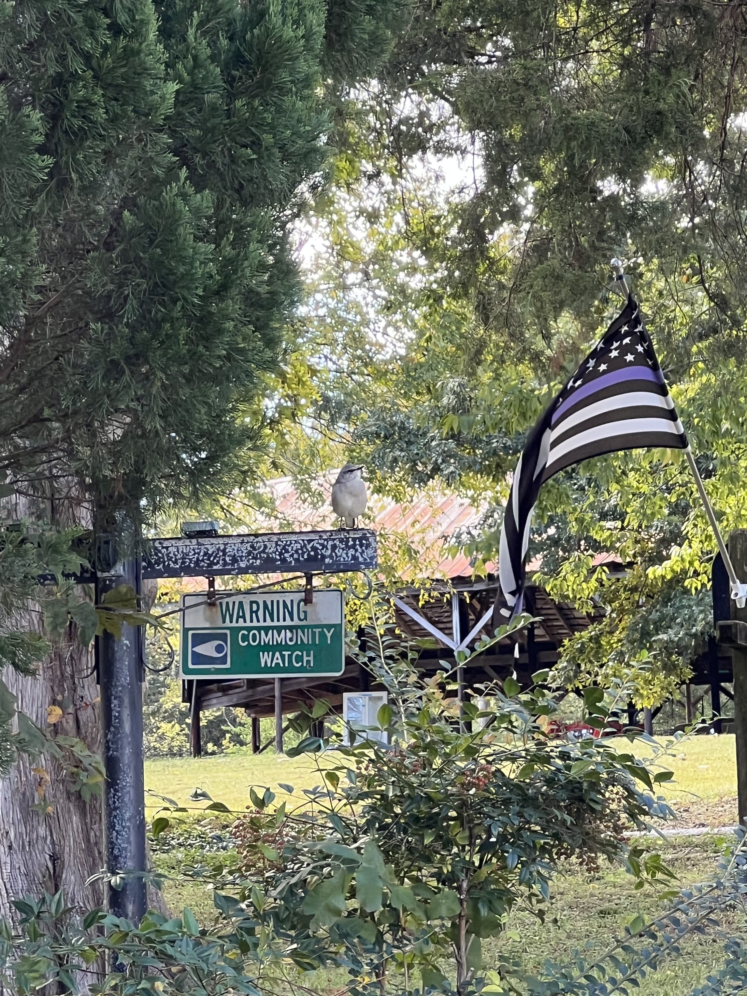 Un cartel de vigilancia vecinal y una bandera en un área boscosa.