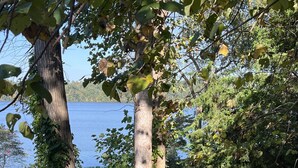 A wooden boardwalk leading to a dock over a lake, surrounded by trees and greenery. - Charming home with lake views (Boydton)