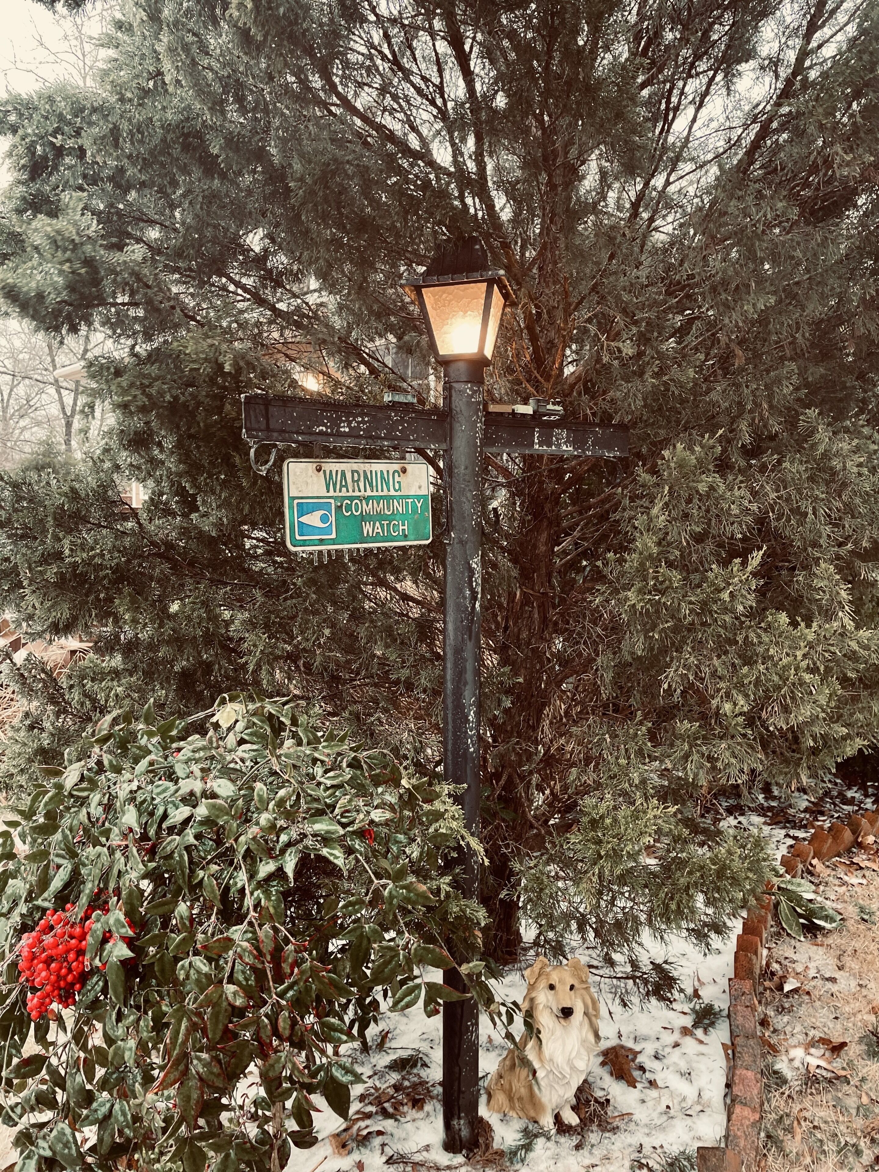 Un panneau d’avertissement pour une initiative de surveillance de quartier, un lampadaire et un chien dans un jardin enneigé.
