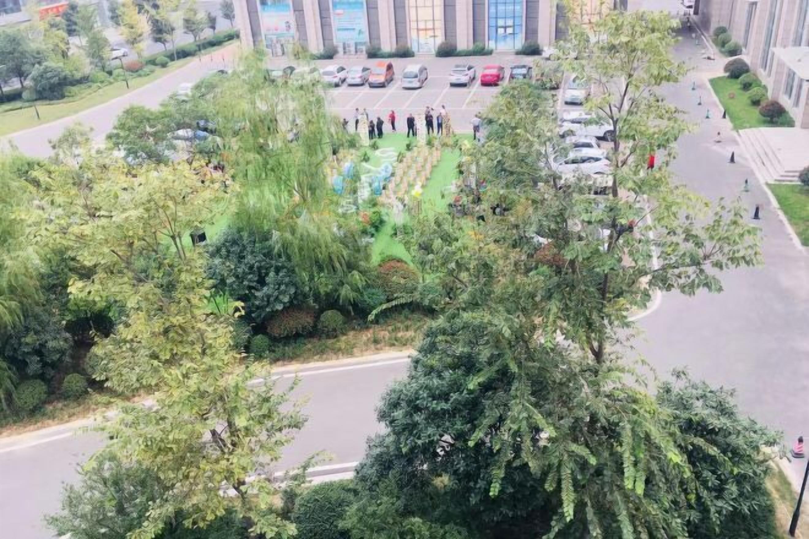 Áreas de la propiedad