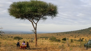 A group of people sitting under a tree in a grassy field with a vehicle in the background. - Leopards Lair Cottages (Mtito Andei)