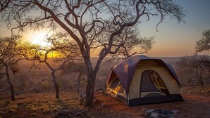 A tent set up in a natural landscape with trees and a sunset in the background. - Cheetah Campsite Lumo (Mtito Andei)