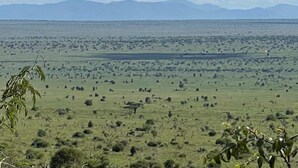 A vast open landscape with scattered trees and distant mountains under a partly cloudy sky. - Cheetah Campsite Lumo (Mtito Andei)