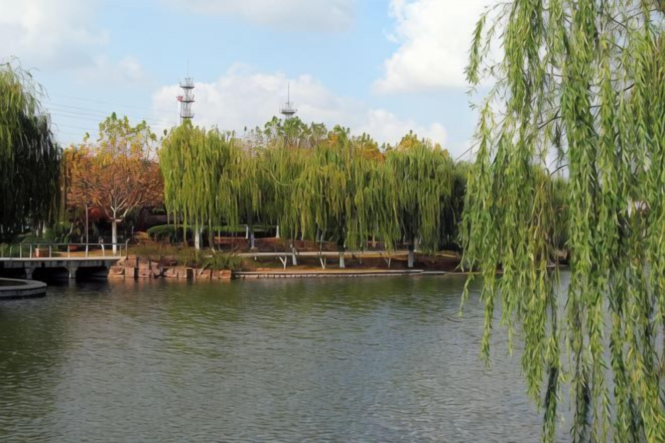 A calm water body with willow trees, a bridge, and a clear sky.