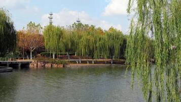 A calm water body with willow trees, a bridge, and a clear sky.