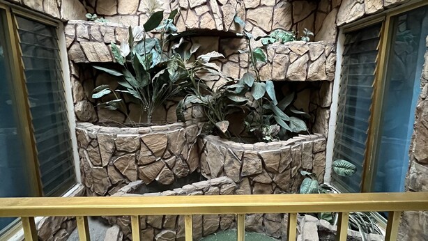 A balcony with a stone wall and plants. - Hotel Paris (San Juan de los Lagos)