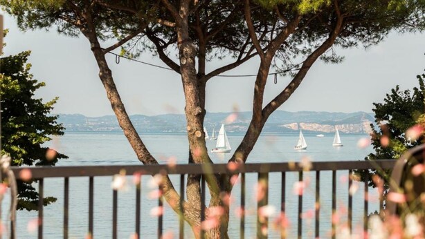 Vista del mar con veleros, un árbol y una barandilla.