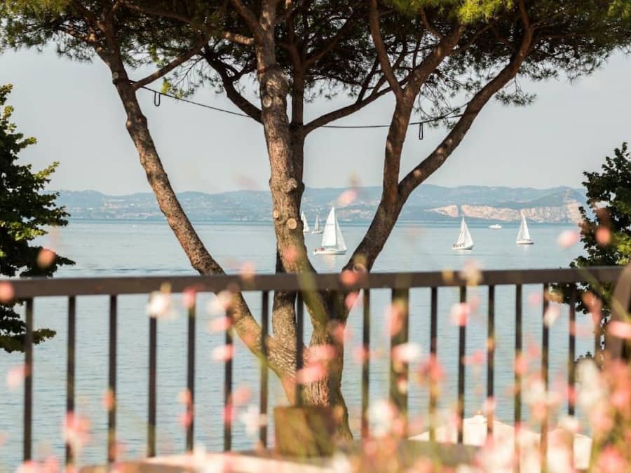 Vista del mar con veleros, un árbol y una barandilla.