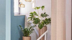A modern staircase with a beige handrail, surrounded by potted plants and hanging pendant lights. - Hotel Astoria (Garda)