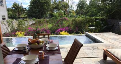 Petit Morne Cottage pool, sea view and surfing CR1