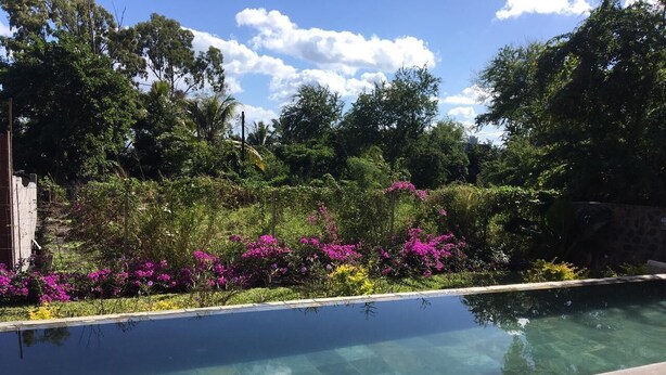 Ein klares Schwimmbecken, umgeben von üppigem Grün und farbenprächtigen Blumen.