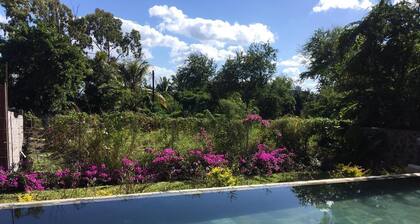 Petit Morne Cottage pool, sea view and surfing CR1