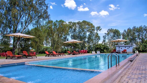 A swimming pool with red lounge chairs and umbrellas, surrounded by trees and a clear sky. - Kabarak University Guesthouse (Eldama Ravine)