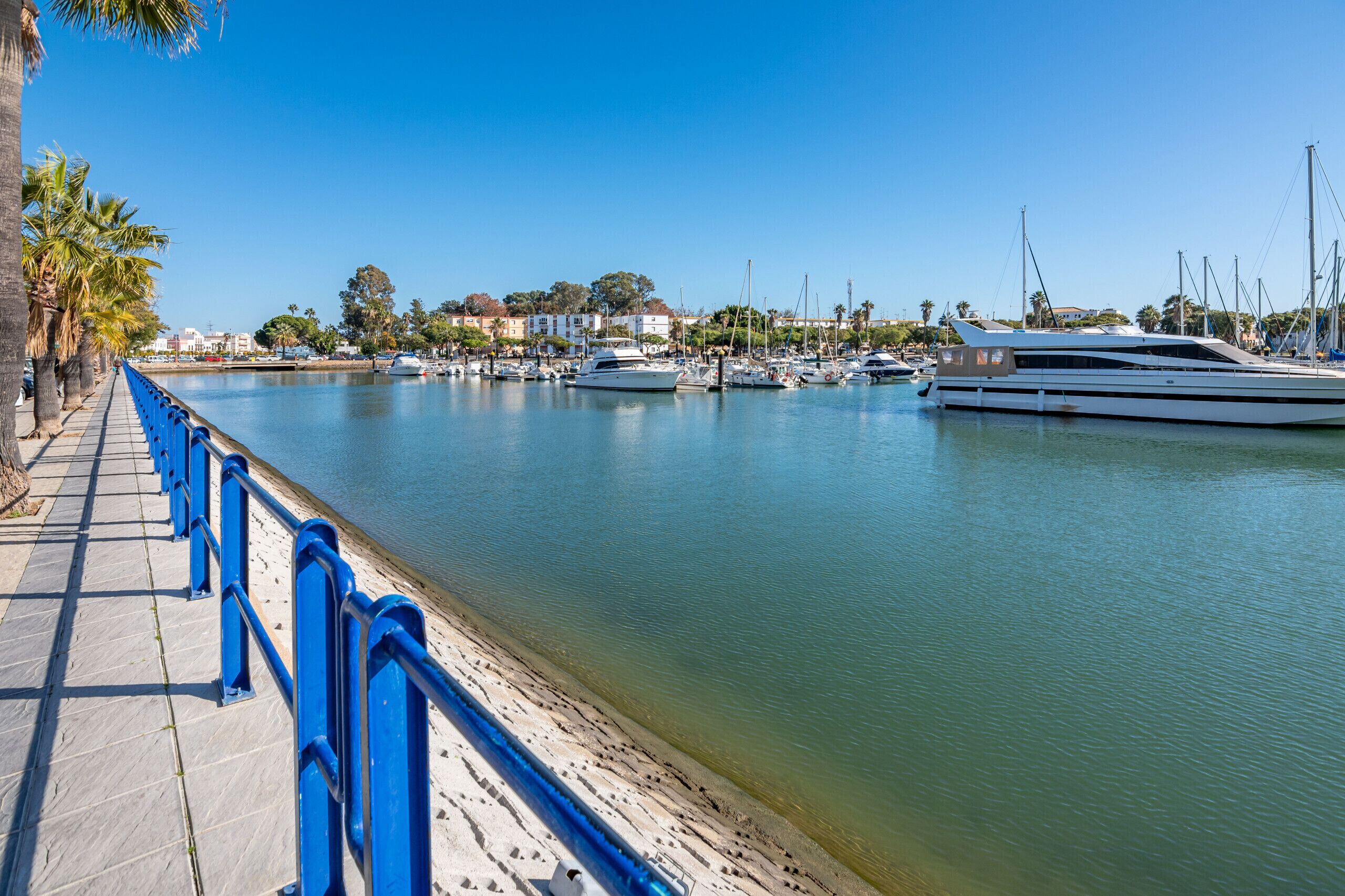 Ein Yachthafen mit Booten, die entlang einer Uferpromenade liegen, mit Palmen und Gebäuden im Hintergrund.