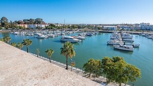 Un puerto deportivo con numerosas embarcaciones amarradas, rodeado de edificios y palmeras.